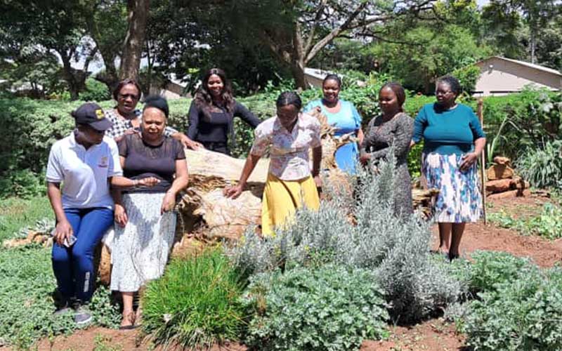 Early_Education_Images_Afrisomi